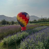 balloon in the sky🩵 (@balloonnumber9) 's Twitter Profile