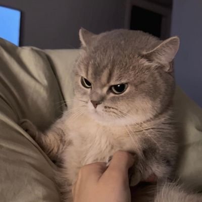 Jerrryythemoon's profile picture. 