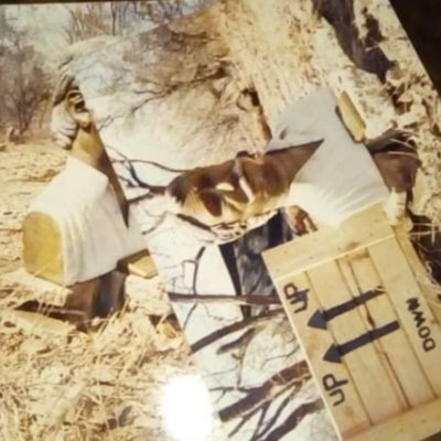 admire_nyamaka's profile picture. "To live is  suffering,to survive you need to solve someone's suffering"