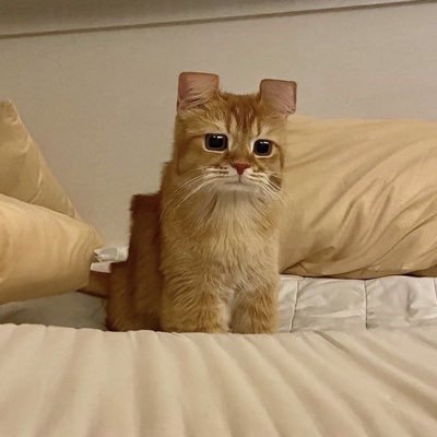 thenewkisho's profile picture. 