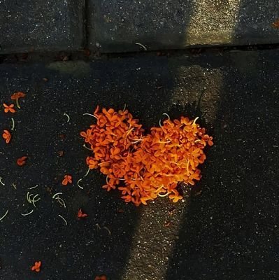 IsabelleAcj's profile picture. Correctrice de contenus, Rédactrice web, Étudiante en droit, Passionnée de lecture, Foodie😋, Amie de la nature 🌱
