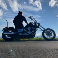 ハリネズミ (@satou0319c) 's Twitter Profile