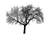 Vincent Bal - @VinzoB - Twitter