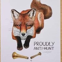 Paul Hildreth (@pmhildreth) 's Twitter Profile