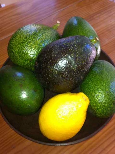 The Diva loves and sells Heritage Avocados from California 
(think heirloom tomatos, but avocados!)