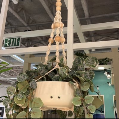 hiyaileen's profile picture. 