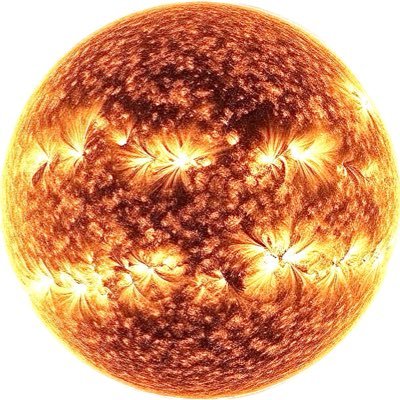 TylerShakeel's profile picture. 