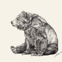 Hole Hunter (@dr_bb_xxx) 's Twitter Profile