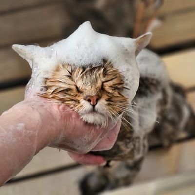 じんで みさきさんのプロフィール画像
