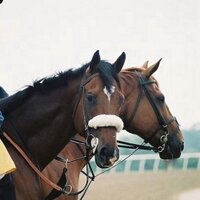 peter brette (@pbrette) 's Twitter Profile