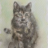 poko (@8mfplwanl013jkm) 's Twitter Profile Photo poko (@8mfplwanl013jkm) 's Twitter Profile Photo
