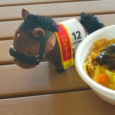 新米一口馬主です。出資馬とスワーヴリチャード産駒の応援をメインに競馬のこととたまにどうでもいいことを呟きます。馬券は気になるレースだけワンコインで楽しむ穴党です。広尾、DMM、YGG、京サラ、ノルマン(スターズファンド)、キャロット🐴☘️