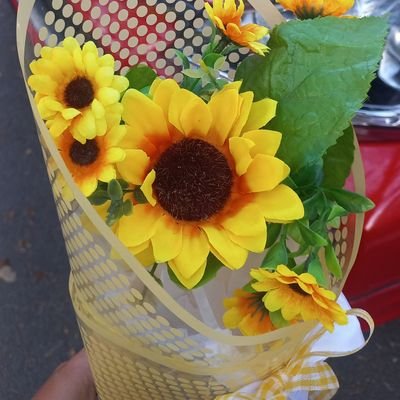 chshaforaaaa's profile picture. apasih