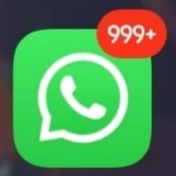 Rex20121011's profile picture. 