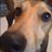 AndyEllis5's profile image
