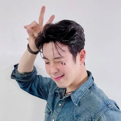 yes, my name is bee, and that’s block b p.o guesting for the seasons. sometimes personal tweets, and sometimes k-pop and k-variety. she/her. mastodon link ⬇️