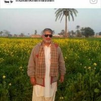 Hassan shareef Hassan shareef (@hassanshar82511) 's Twitter Profile