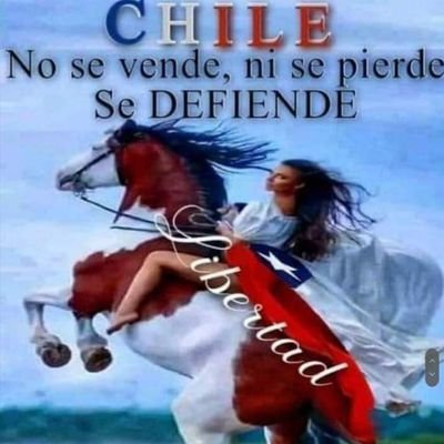 Feliz de ser Chilena ,
amante de mis hijos y nietas fui Concejala en San Joaquín, por eso y mucho más #YoVoteRechazo