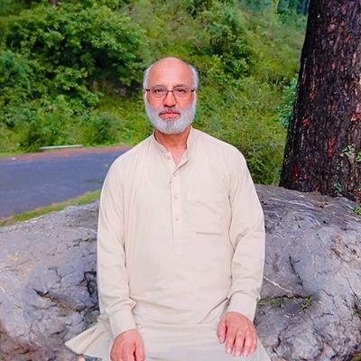 Abbasi63Maroof's profile picture. Voter and supporter of #PMLN