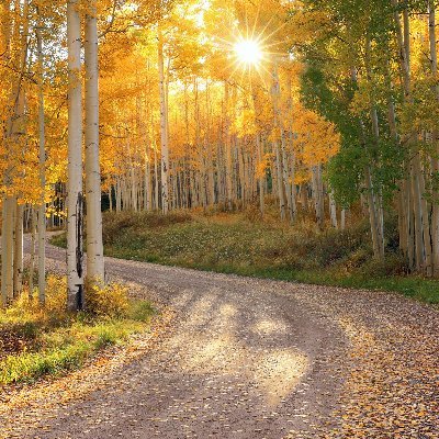 tnahide9's profile picture. 