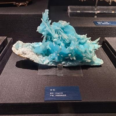 gcnly0109's profile picture. 