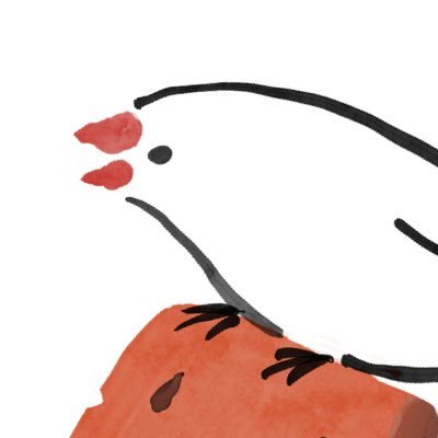 白文鳥クコとのモロコシデイズ🕊