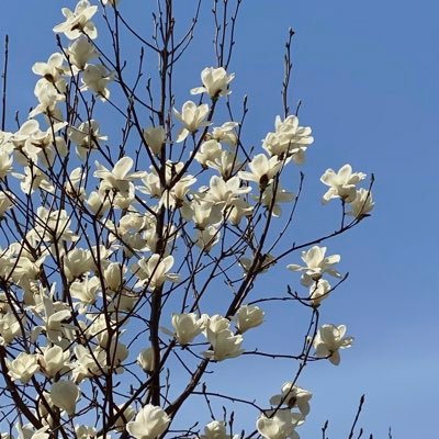 csron0727's profile picture. 