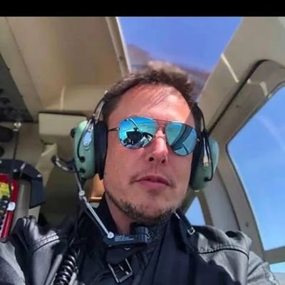Tesla M3LR Owner, Tesla Stock Holder, Seeking Financial Freedom with Tesla Stock, Elon Musk Supporter, Starlink, SpaceX, Neural Link, Boring Company