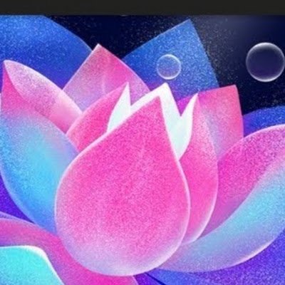 pascal_and34675's profile picture. 