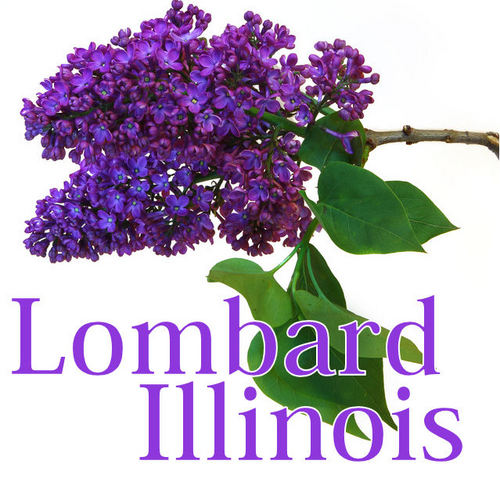 Follow us for the latest news, weather, events and emergency notices for Lombard, IL