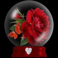 ابو معتز المعازى (@mtza333) 's Twitter Profile Photo ابو معتز المعازى (@mtza333) 's Twitter Profile Photo