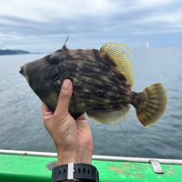 tt (@fishermanshonan) 's Twitter Profile
