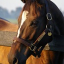 Connie O'Neal - @ConnieONeal2 - Twitter