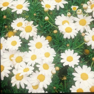 ЯIЯIさんのプロフィール画像