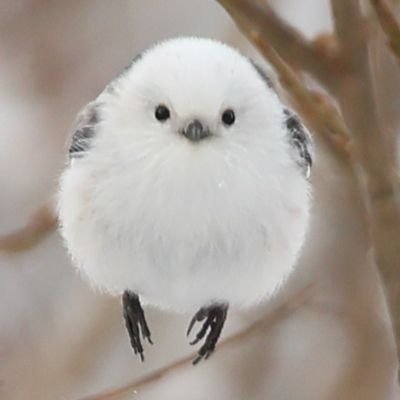 ckvkfdlf's profile picture. 