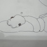 sun (@sunballpython) 's Twitter Profile
