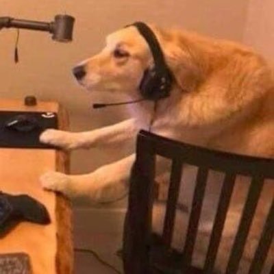 kYXwtW8KVZcJPm9's profile picture. 
