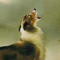 Regulated Industries (@john_hanson_) 's Twitter Profile