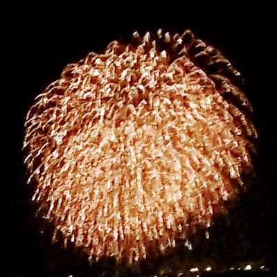 kosakimi0411's profile picture. シャシャtv公式のサブ垢です。