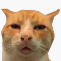 Ba Sh (@dadntmatter) 's Twitter Profile