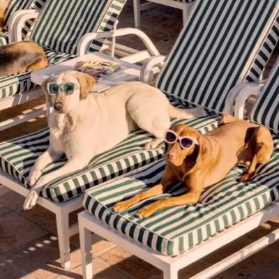 Pebble_911's profile picture. 