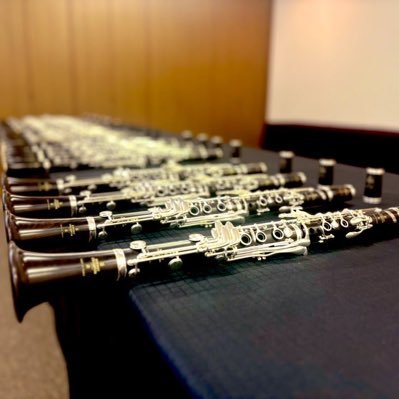 Tcmcl_aoi's profile picture. 東京音楽大学3年器楽専攻Cl.∥御入用の際にはDMにてお願いいたします