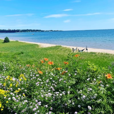 Yooper living in Charlotte. Lake Superior and Corgi lover. Northern Michigan University alumni