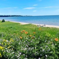 Jan Cale (@nyman12) 's Twitter Profile Photo