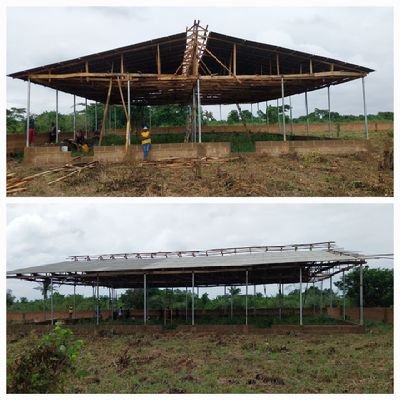 aliunasiru's profile picture. Proudly a farmer!