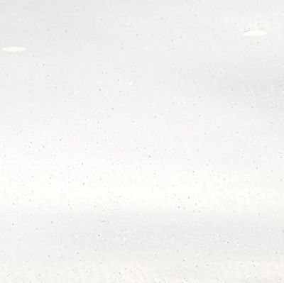 緋毛氈さんのプロフィール画像