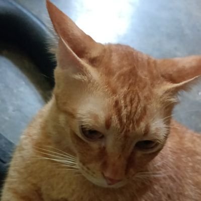 Sephyunn's profile picture. 