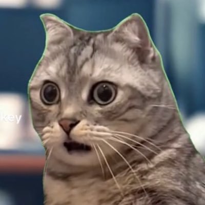 🏡🏢🚎🚲 | tweets & sarcasm my own | I’m over at bluer skies now 👋 join me at https://t.co/YIV2rstmzN