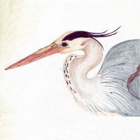 ProcessingReality (@admitttedlyierr) 's Twitter Profile