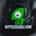 Daniel Russell (@_reptiles4sale) Twitter profile photo Daniel Russell (@_reptiles4sale) Twitter profile photo